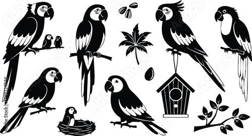 Parrot bird vector set with nest birdhouse and tropical leaves in silhouette style for nature designs