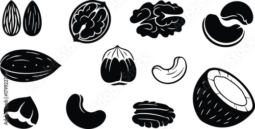 Collection of Various Nut Silhouettes Including Almond Walnut Cashew Hazelnut and Coconut Vector Illustration 