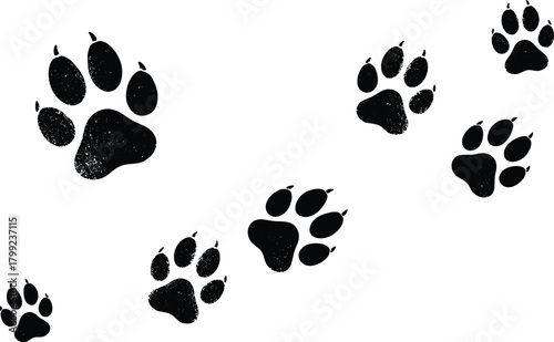 Illustration of paw prints scattered across an isolated on, creating a playful and dynamic composition with varying sizes and orientations of animal tracks