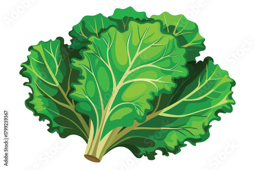 Fresh green chard leaves display intricately detailed veins and a vibrant verdant hue