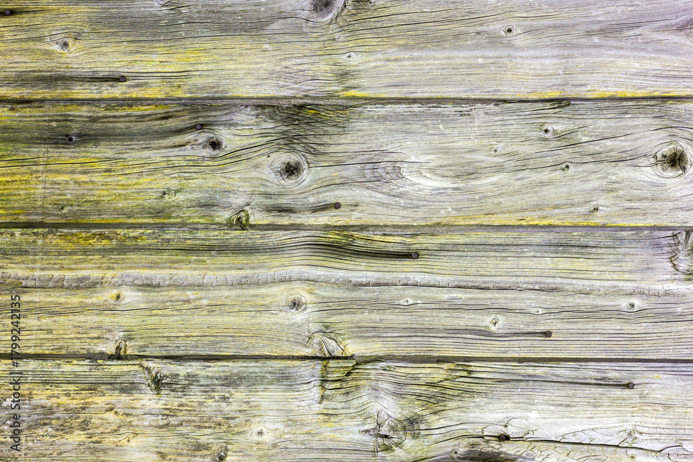 Fototapeta premium The old wood texture with natural patterns