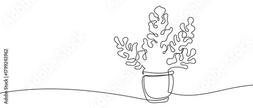 Plant pots in one continuous line Dynamic single line draw design vector illustration Editable stroke.