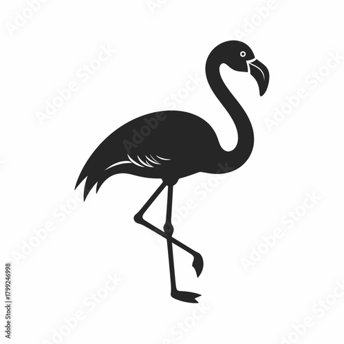 Silhouette of a flamingo standing on one leg, showcasing its long neck and curved beak against a white background.