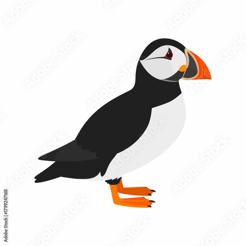 Illustration of a puffin bird with black and white plumage and a distinctive orange beak and feet, standing on a white background.