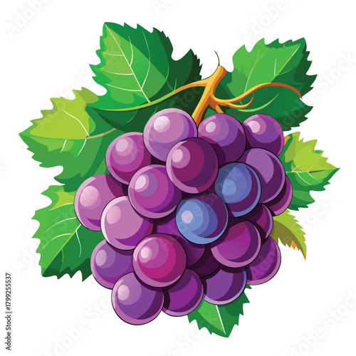 Vibrant grapes cluster showcases a fresh, cartoonish style with verdant leaves behind on a white background