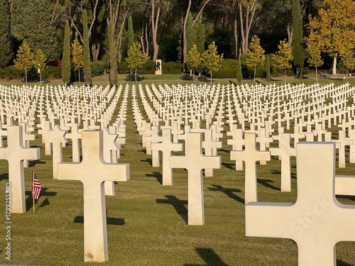 Croci bianche di un cimitero militare