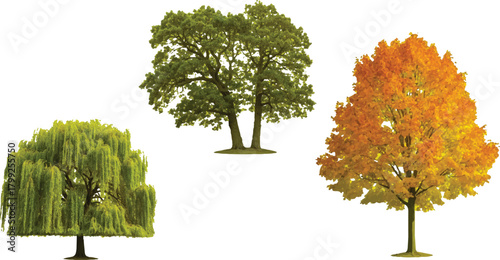 The image features a visually appealing arrangement of three distinct trees, each representing different characteristics and seasonal themes