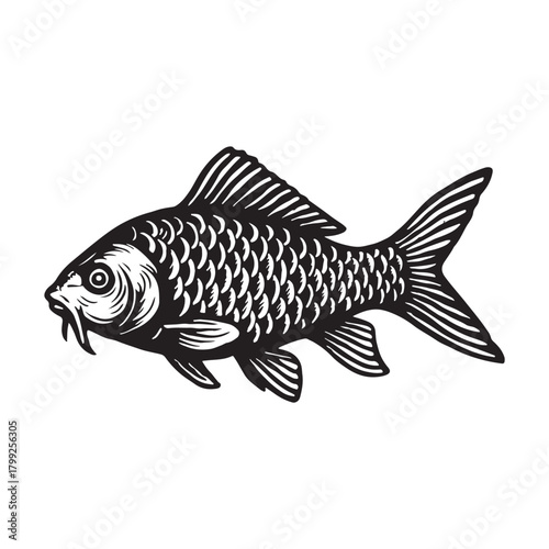 Black and white linocut style illustration of a traditional Japanese koi carp fish, isolated on a white background. A graphic symbol of luck, prosperity, and serene aquatic life
