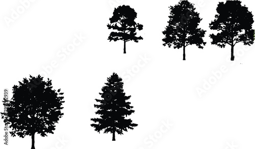 The image you described features a collection of five trees presented in silhouette form against a stark white background. The use of silhouettes means that the trees are depicted as solid black 