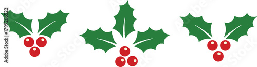 Red and green paint splashes symbolize the festive Christmas holiday season with holly berry leaves and mistletoe decoration