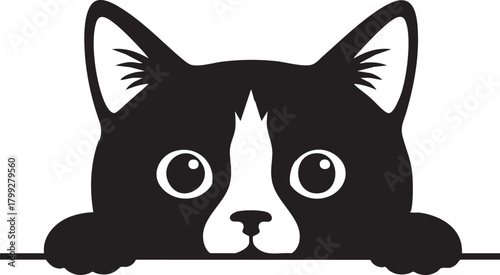 Peeking Black and White Cat Head Vector Illustration