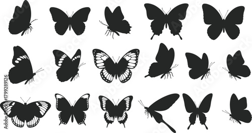 Collection of diverse black butterfly silhouettes with detailed wing patterns and textures on a white background