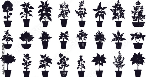 The image presents a diverse collection of 24 potted plants, each rendered as a black silhouette against a white background. The plants are contained within simple, square pots, emphasizing 