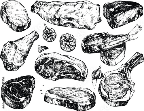 Detailed Hand-Sketched Beef and Pork Cuts 