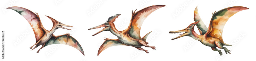 Fototapeta premium Vibrant Trio of Flying Pterodactyl Dinosaurs in Dynamic Poses with Colorful Wings and Beaks, Isolated on Transparent and White Background