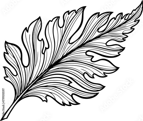 Elegant botanical illustration of a detailed fern frond showcasing intricate linework and natural beauty for decorative designs.