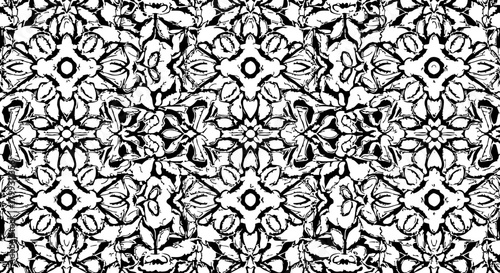 Valokuva Intricate black and white abstract symmetrical pattern with organic floral motif