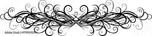 Elegant black decorative flourish with swirling vine patterns adds vintage charm to any design project.