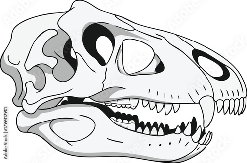 Dinosaur Skull Anatomy Exploring Ancient Reptilian Skeletal Structure