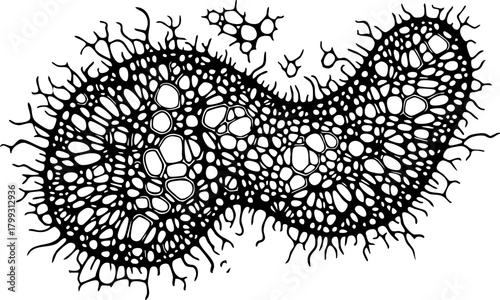 Intricate organic cellular structure illustration with detailed branching networks and porous internal formations, representing biological complexity and scientific discovery.