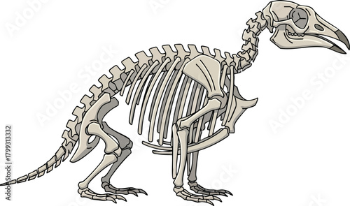 Fossilized Remains A Skeletal Illustration of a Prehistoric Creature