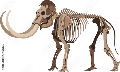 Majestic Mammoth Skeleton Ancient Giant in Detailed Anatomy