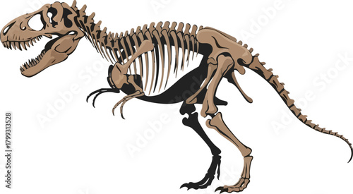 The Skeletal Structure of a Tyrannosaurus Rex Unearthing Paleontology