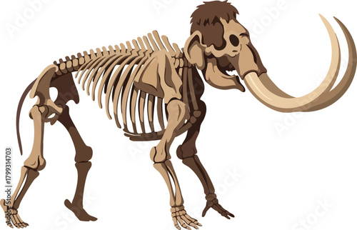 Mammoth Skeleton Illustration A Glimpse into Prehistory