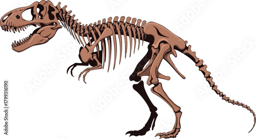 Tyrannosaurus Rex Skeleton Paleontological Illustration