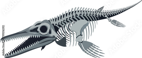 Ichthyosaur Skeleton Ancient Marine Reptile Fossil Illustration