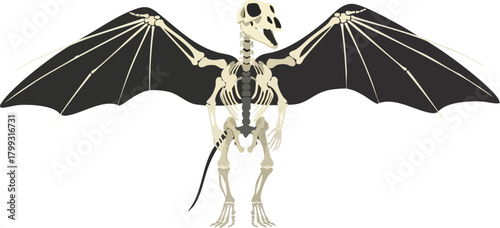 Mysterious Winged Creature Skeleton