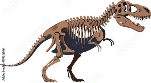 Tyrannosaurus Rex Skeleton Illustration Prehistoric Fossil Art