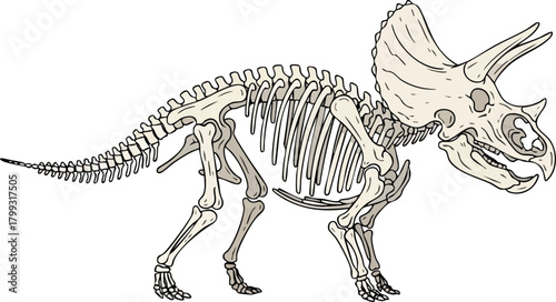 Fossilized Triceratops Skeleton Unearthing Prehistoric Giants