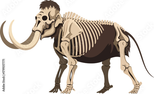 Mammoth Skeleton Illustration Prehistoric Wildlife and Paleontology