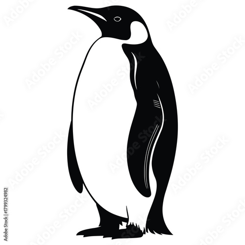 Black and white illustration of an emperor penguin