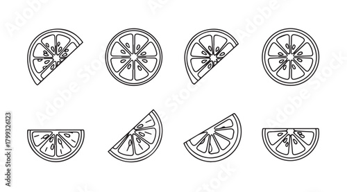Collection of hand drawn citrus fruit slices in a silhouette style