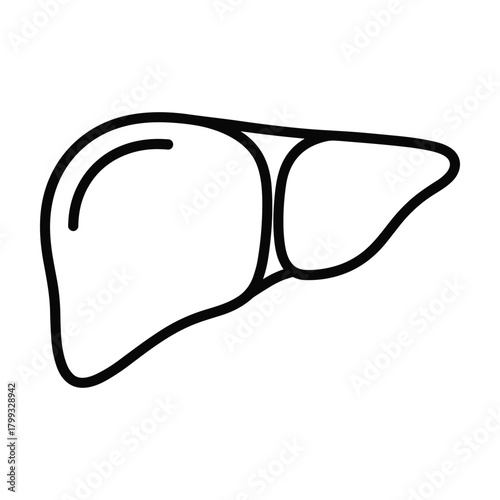 Simple black outline illustration of the human liver organ isolated on a white background for medical or educational purposes
