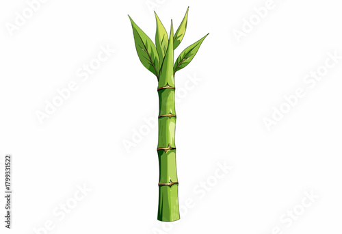 Illustration of a Vibrant Green Bamboo Plant with Leaves Showcasing Its Tall Stature and Lush Foliage on a Clean White Background