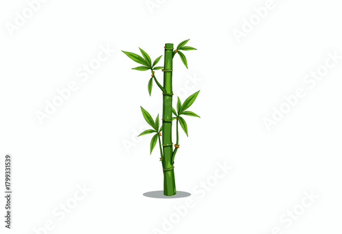 Illustration of a Vibrant Green Bamboo and Leaves Isolated on a White Background Symbolizing Nature, Growth, and Simplicity in Natural Design Elements