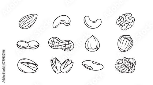 Collection of hand drawn nut silhouettes in a grid layout silhouette