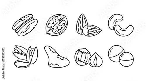 Collection of various nut silhouettes in a simple line art style