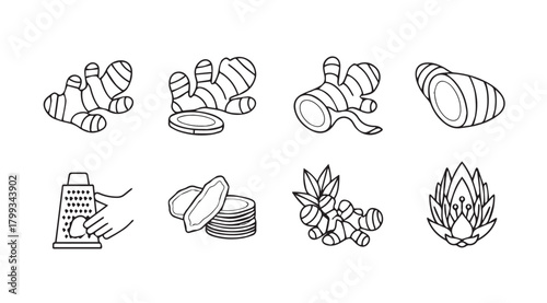 Collection of ginger root illustrations and preparations in a simple silhouette style
