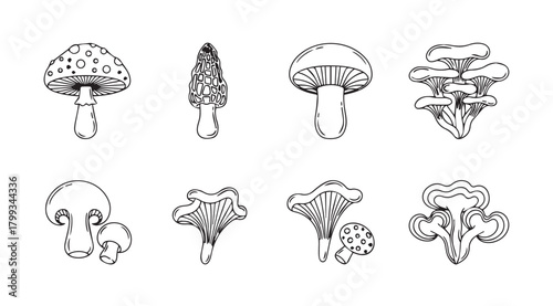 Collection of various mushroom illustrations in a distinctive silhouette style