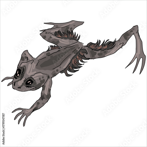 Wolverine frog. Trichobatrachus robustus. Brown hairy frog. Colorful, vector illustration. Picturesque. Unique styling. Print on sketchbooks, stickers, postcards, cups, clothes, posters. Biological. 