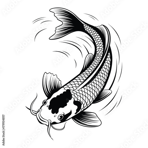 Stylized black and white koi fish swimming illustration, dynamic graceful movement Vector