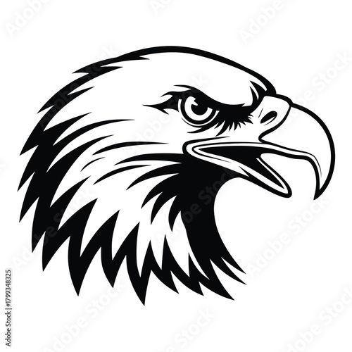 Stylized black and white graphic illustration of a majestic eagle head vector art Vector