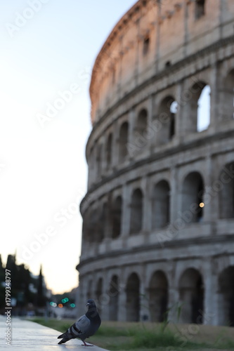 Photography colosseum in rome italy