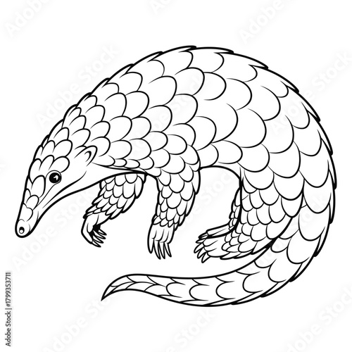 Pangolin outline illustration for children's coloring book and nature education. Vector