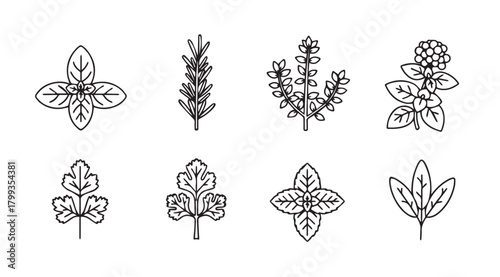 Collection of botanical illustrations featuring delicate leaf and flower silhouettes