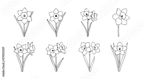 Collection of delicate floral bouquet silhouettes in sketchy hand drawn style silhouette
